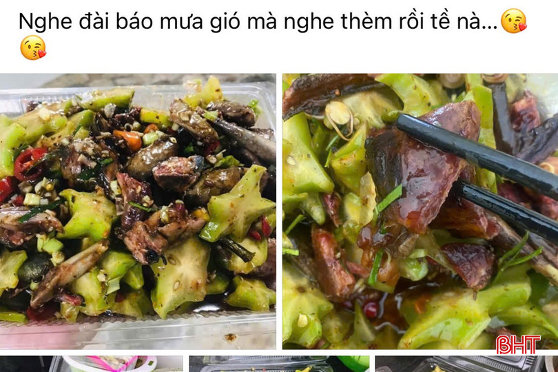 bqbht_br_z7.jpg