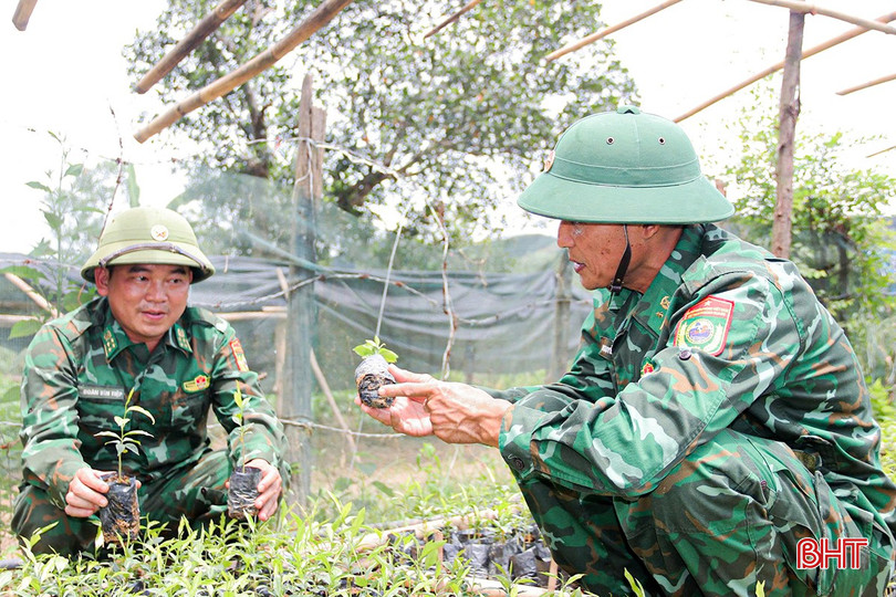 Đầu năm 2025, khu vườn ươm cây trầm hương nhanh chóng hình thành ngay trong khuôn viên đồn biên phòng từ ý tưởng giúp bà con nơi đây phát triển kinh tế. bqbht_br_l1.jpg