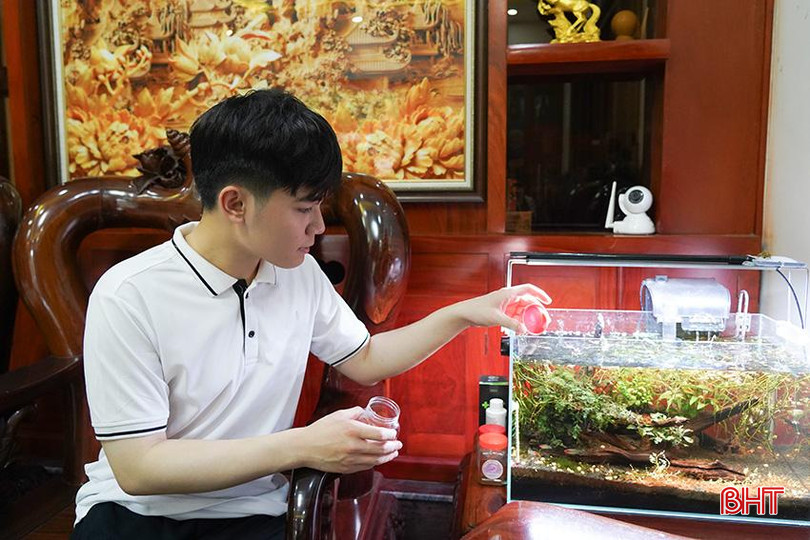 Tùng Sơn có sở thích chăm sóc cá cảnh để thư giãn sau những giờ học căng thẳng. q3.jpg