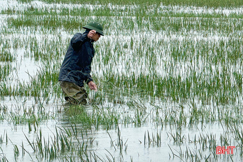 Việc xuống đồng đánh bắt cá trong điều kiện nước lũ không chỉ nguy hiểm đến tính mạng mà còn gây khó khăn cho công tác cứu hộ nếu sự cố xảy ra. Trong ảnh: Người dân xã Cẩm Xuyên thả lưới bắt cá tại cánh đồng ngập sâu. bqbht_br_c6.jpg