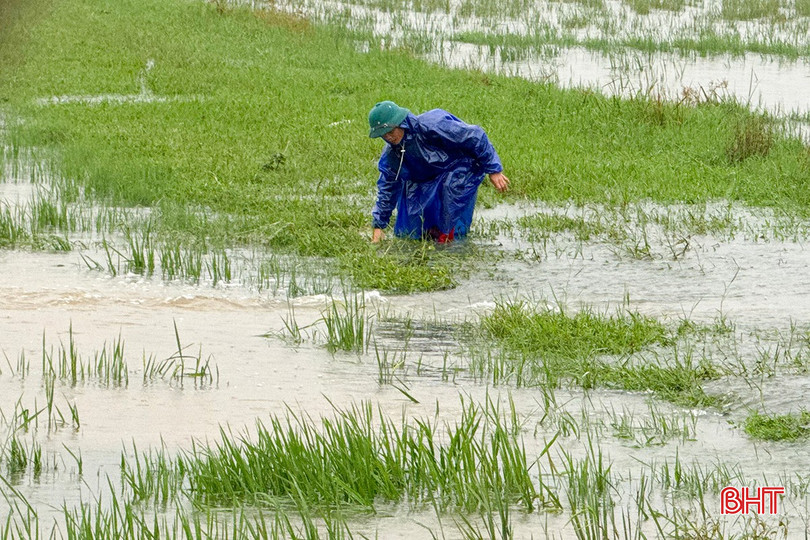 Những khu vực ruộng sâu, nước ngập băng đồng khiến việc xác định địa hình gần như không thể. bqbht_br_c5.jpg