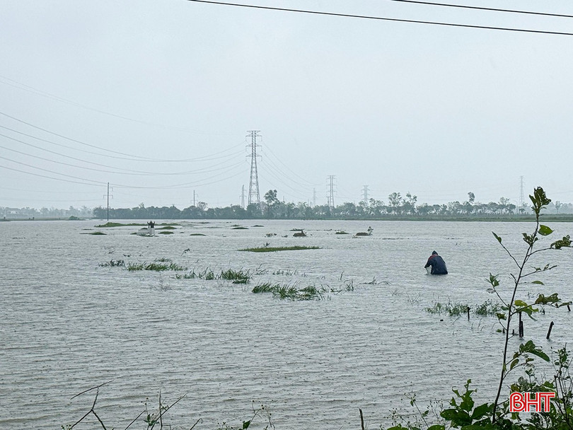 Khi nước lũ tràn vào các cánh đồng ven sông, một số người dân xã Cẩm Bình đã bất chấp nguy hiểm để thả lưới bắt cá. bqbht_br_c1.jpg