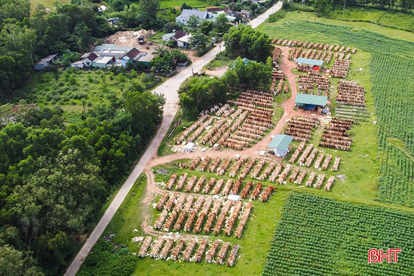 Một số hộ dân tận dụng diện tích đất màu sát mặt đường cho cơ sở làm gỗ tấm thuê mặt bằng. bqbht_br_1dji-0145.jpg