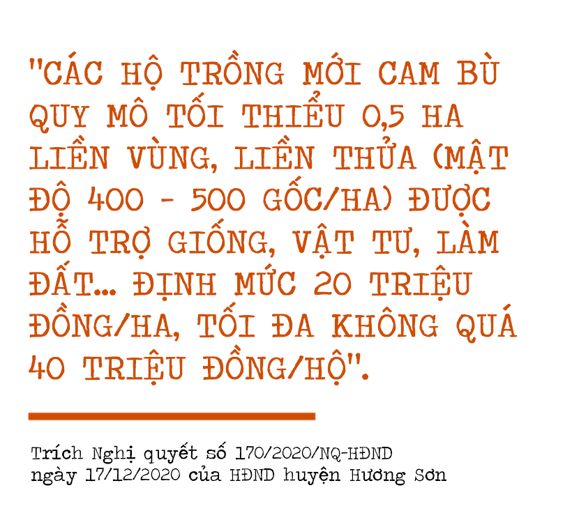 Nâng tầm cam bù, nhung hươu Hà Tĩnh - cần “4 nhà” vào cuộc ảnh 7 Nâng tầm cam bù, nhung hươu Hà Tĩnh - cần “4 nhà” vào cuộc