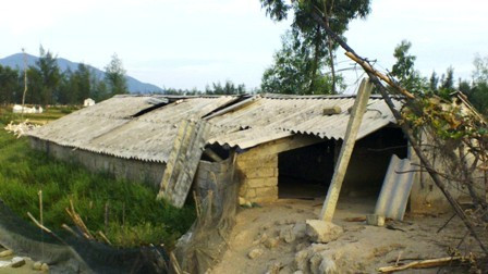 chuồng trại nuôi gia cầm cũng bị đập phá không thương tiếc