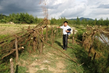 Anh Tỵ bên hàng phi lao 8 năm tuổi bị chặt bỏ