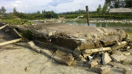 Hệ thống giàn mát giữa hồ nơi để cho ngan, vịt tránh nắng đã bị phá bỏ