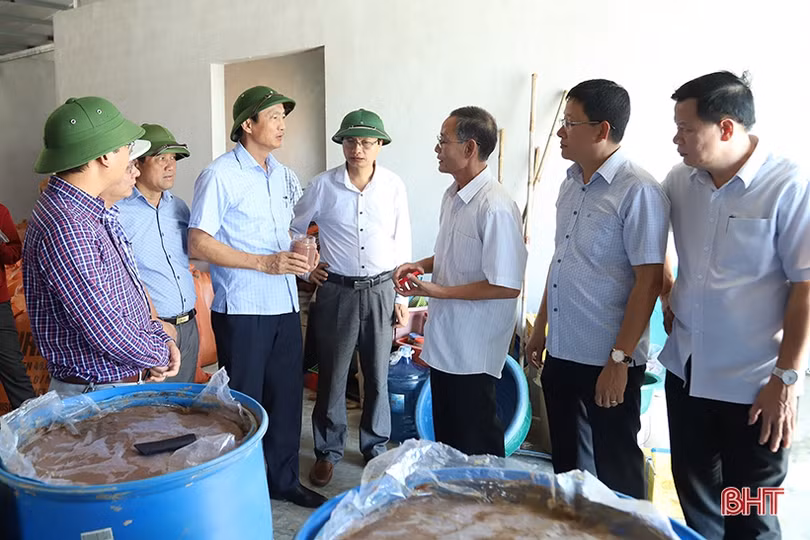 Tham gia OCOP phải đi từ chính năng lực sản xuất, chất lượng sản phẩm