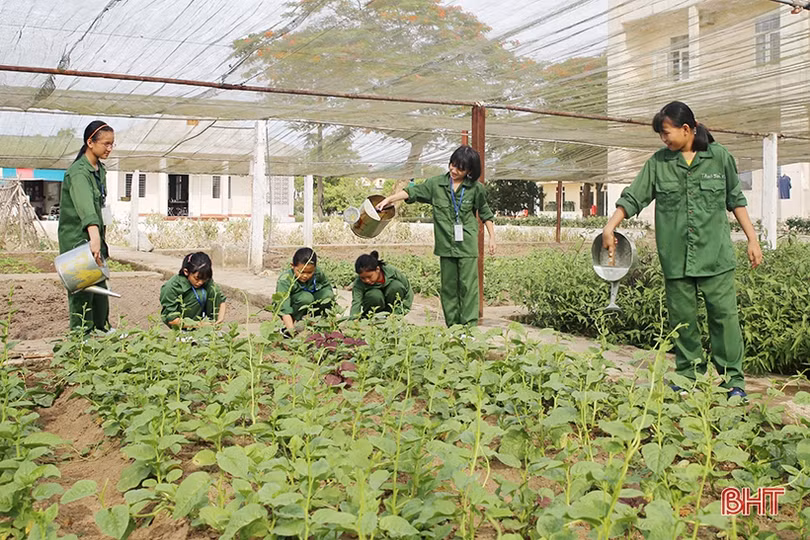 Học sinh Hà Tĩnh trưởng thành qua trải nghiệm môi trường quân ngũ