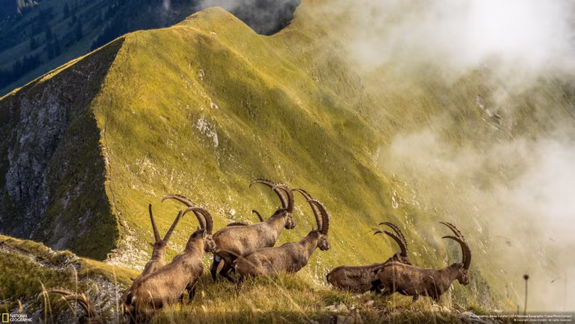 “Mùa đông ở Greenland” đoạt giải đặc biệt ảnh du lịch 2019