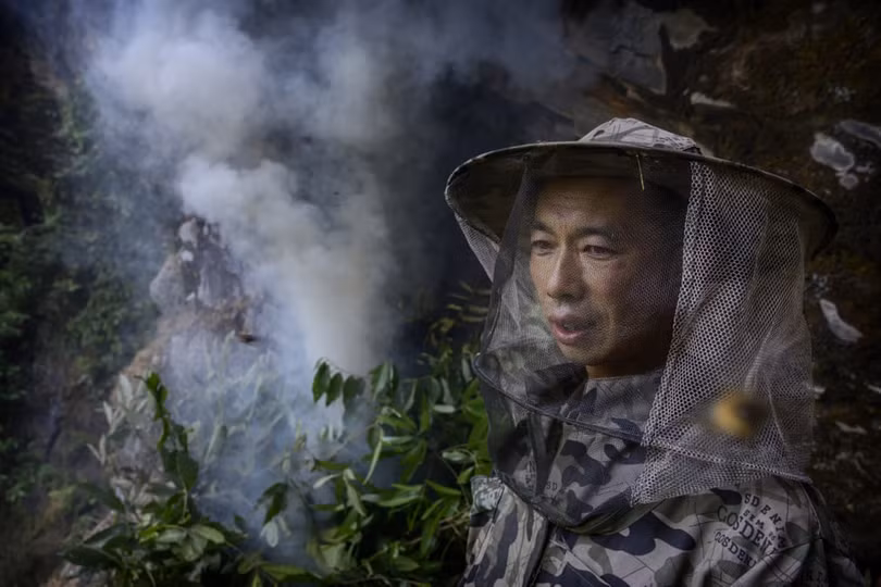 Liều mạng treo mình trên vách núi cao hàng chục mét “săn” mật ong rừng