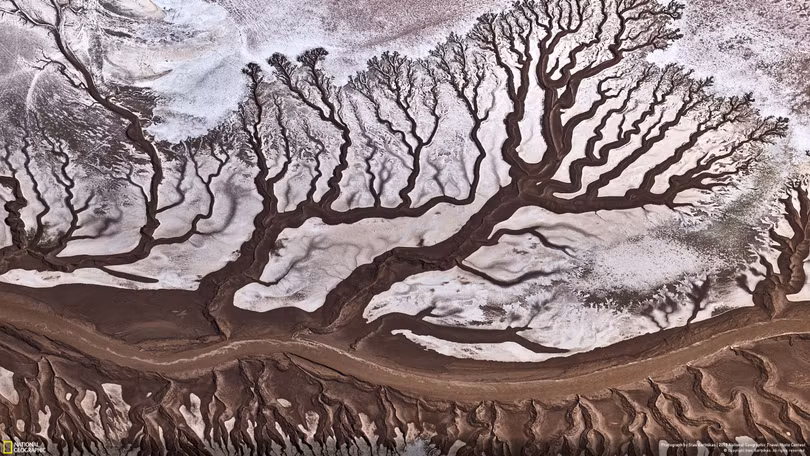 “Mùa đông ở Greenland” đoạt giải đặc biệt ảnh du lịch 2019