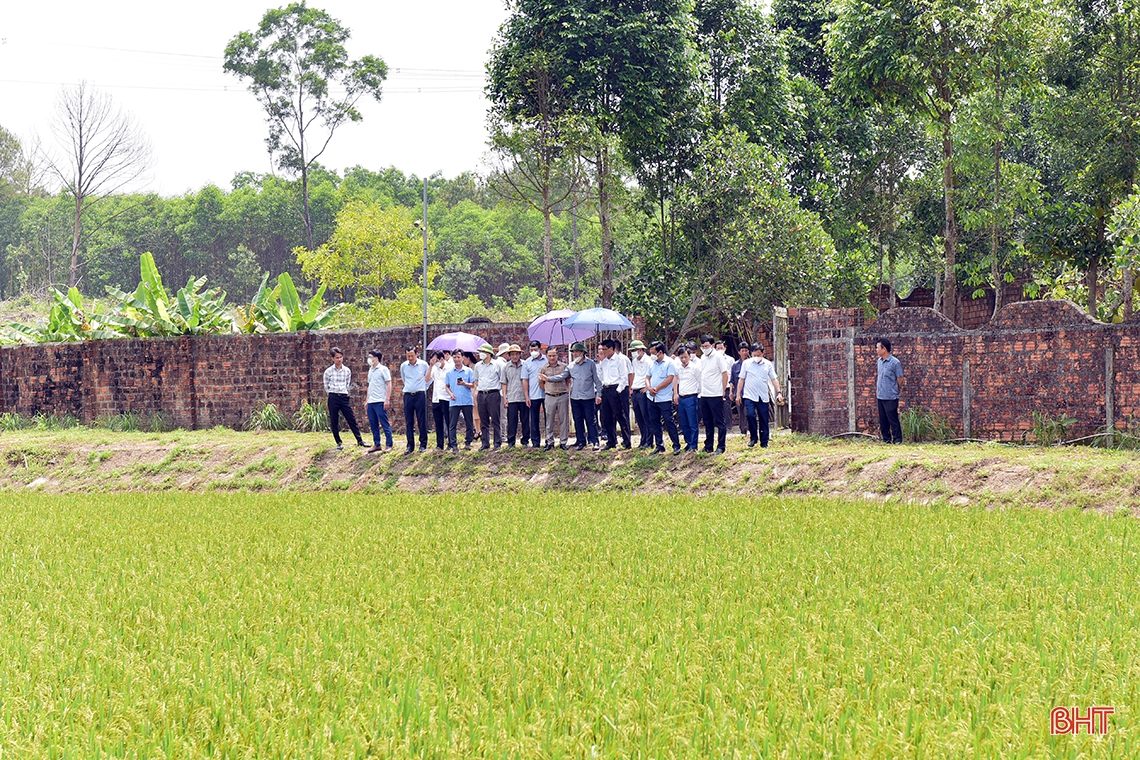 Lãnh đạo tỉnh Hà Tĩnh mong muốn Công ty CP Tập đoàn Quế Lâm chia sẻ kinh nghiệm sản xuất nông nghiệp hữu cơ