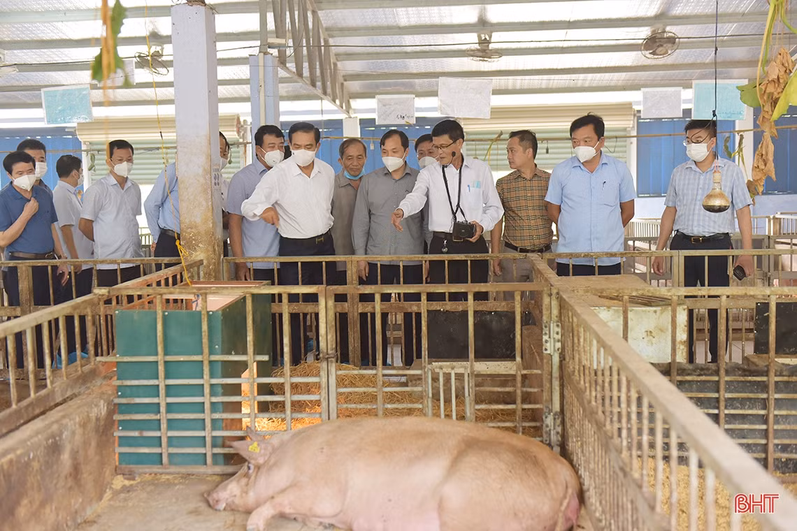 Lãnh đạo tỉnh Hà Tĩnh mong muốn Công ty CP Tập đoàn Quế Lâm chia sẻ kinh nghiệm sản xuất nông nghiệp hữu cơ