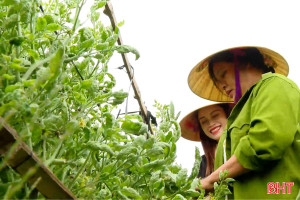 Về thôn kiểu mẫu ở Hà Tĩnh - nơi đường có hoa, nhà có số