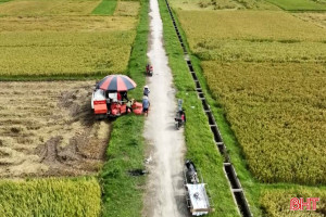 Nông dân Hà Tĩnh vào mùa gặt