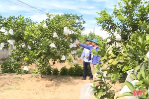Hà Tĩnh triển khai đồng bộ, hiệu quả các chính sách giảm nghèo bền vững