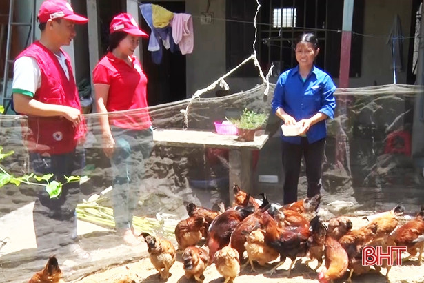 Bàn giao “Ngân hàng gà” cho người nghèo Nghi Xuân