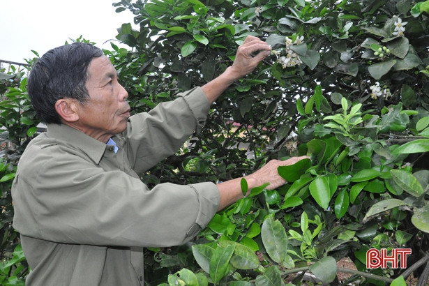 Bà con giáo dân Hà Tĩnh rộn ràng đón Giáng sinh trong niềm vui đoàn kết ảnh 3 Bà con giáo dân Hà Tĩnh rộn ràng đón Giáng sinh trong niềm vui đoàn kết