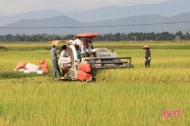 Nông dân Thạch Hà phá bờ thửa, mở cánh đồng lớn hơn 300 ha