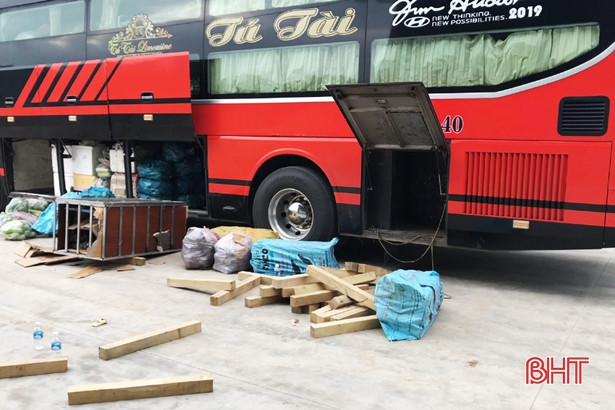 Bắt xe khách vận chuyển 240 thanh gỗ lậu từ Đắk Lắk qua Hà Tĩnh