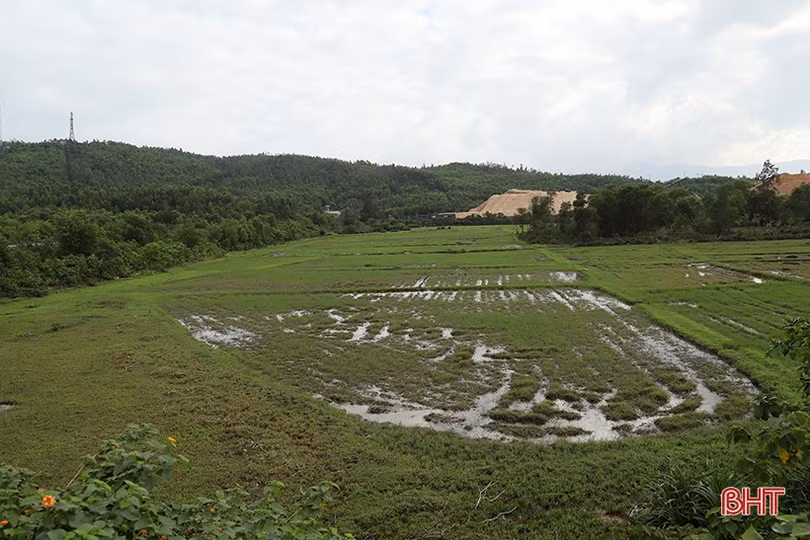 “Tắc” điểm đổ thải, dự án bến số 3 cảng Vũng Áng “ngủ gần năm nay!