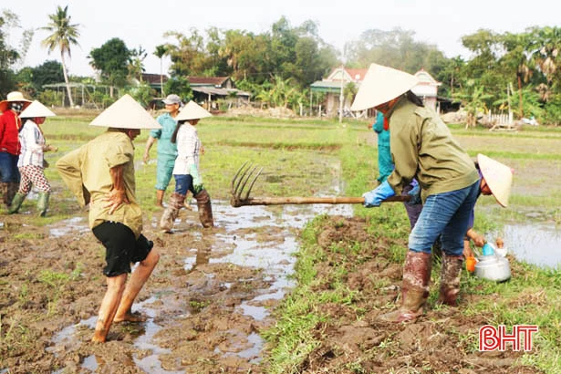 Nông dân Hà Tĩnh rộn ràng xuống giống vụ xuân