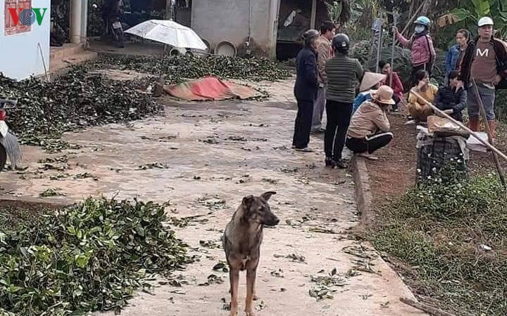 Nóng: Thanh niên Thái Nguyên cầm dao truy sát khiến 5 người tử vong