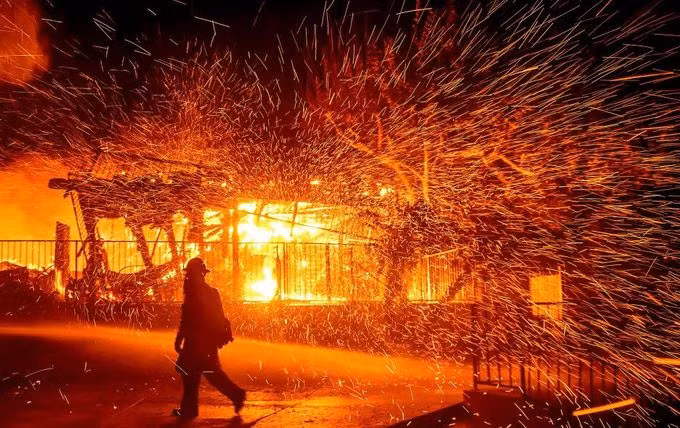 Những hình ảnh ấn tượng năm 2019