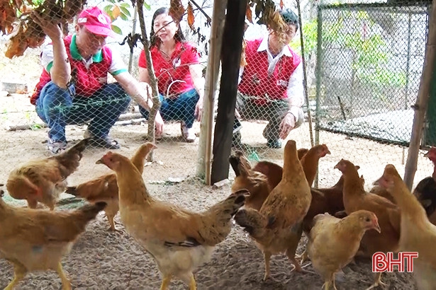 Bàn giao “Ngân hàng gà” cho người nghèo Nghi Xuân