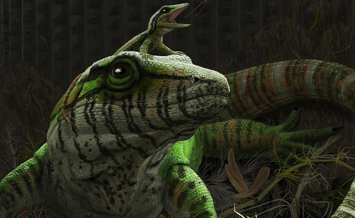 Hóa thạch 309 triệu năm của mẹ con thằn lằn