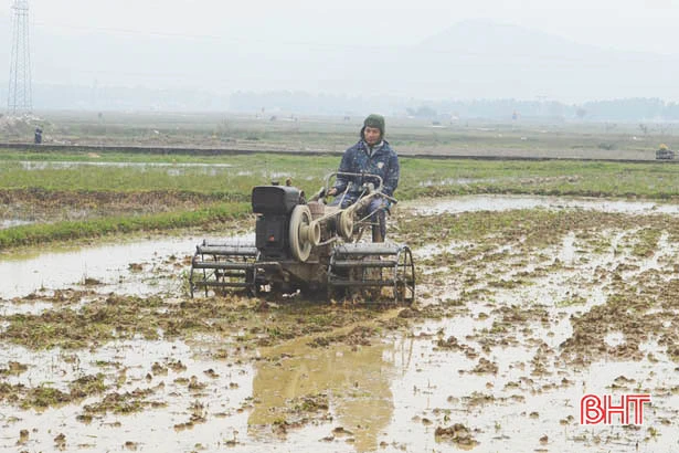 Nông dân Hà Tĩnh rộn ràng xuống giống vụ xuân