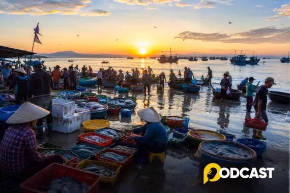 Podcast tản văn: Một sớm mai đi chợ cá