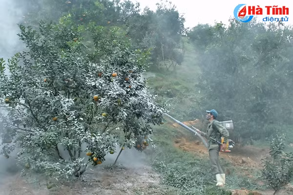 cam sach vu quang san sang phuc vu tet