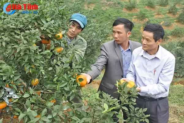 cam sach vu quang san sang phuc vu tet