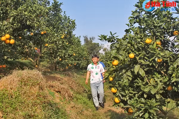 cam sach vu quang san sang phuc vu tet