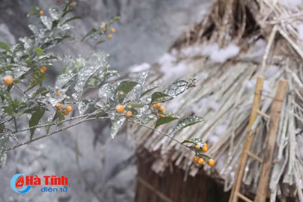 chiem nguong hang be lem doc nhat vo nhi don giang sinh o ha tinh