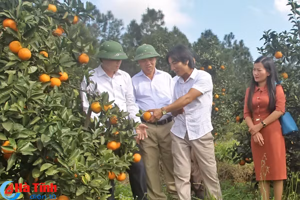cam sach vu quang san sang phuc vu tet