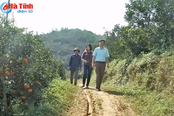 cam sach vu quang san sang phuc vu tet