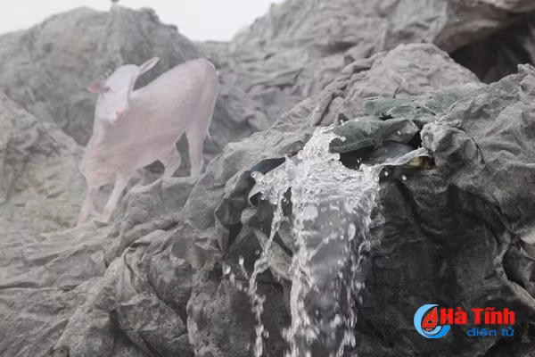 chiem nguong hang be lem doc nhat vo nhi don giang sinh o ha tinh