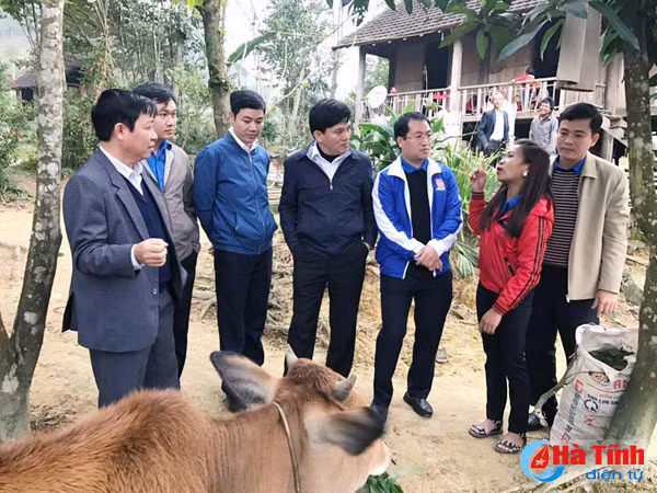 ban rao tre vui tet cham cha boi