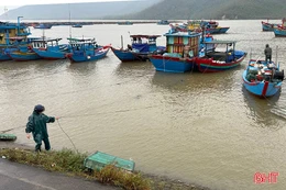 Âu tránh trú bão được đầu tư hơn 130 tỷ đồng khó phát huy tác dụng