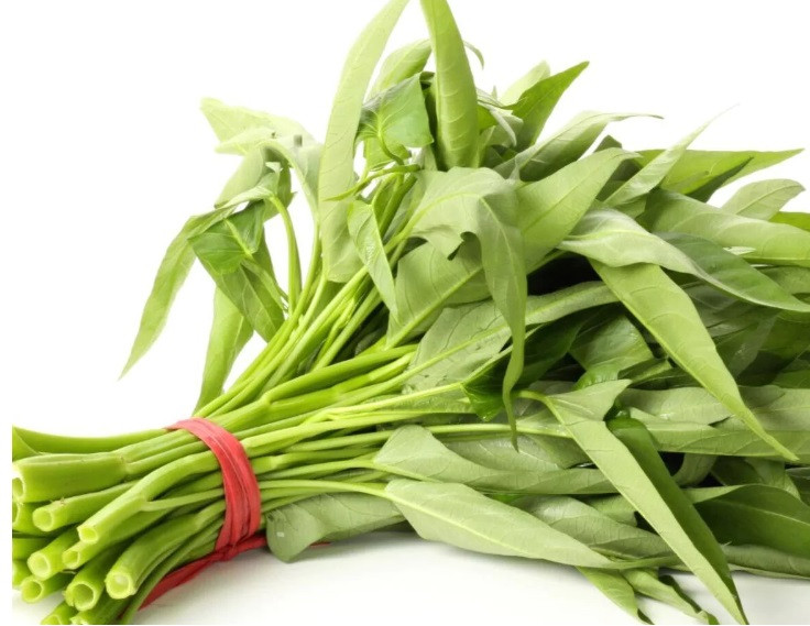 Các công dụng tuyệt vời của rau muống với sức khỏe