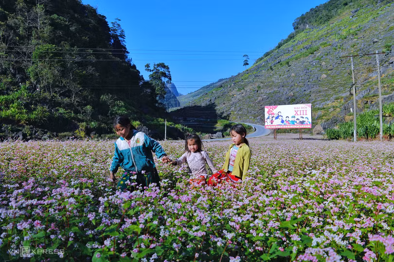 Các điểm đến Việt giành Giải thưởng Du lịch thế giới 2023