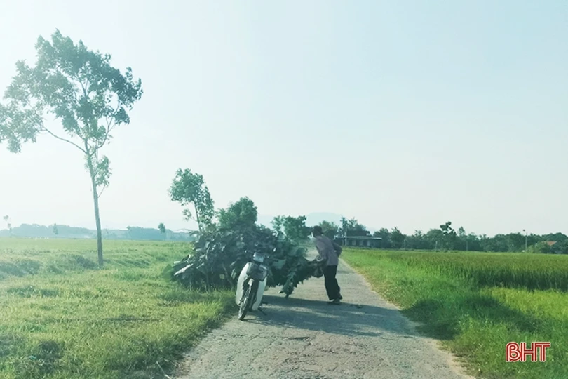 Rác bừa bãi trên nhiều tuyến đường ở xã trung tâm Lộc Hà