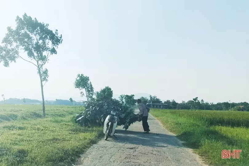 Rác bừa bãi trên nhiều tuyến đường ở xã trung tâm Lộc Hà