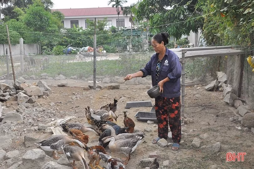 Khách hàng tố 1 cán bộ tín dụng ngân hàng ở Hà Tĩnh lừa đảo, chiếm đoạt nhiều tỷ đồng