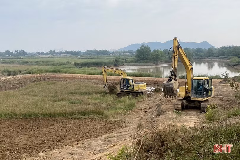 Trồng lúa hữu cơ kết hợp nuôi rươi, cáy ở Nghi Xuân