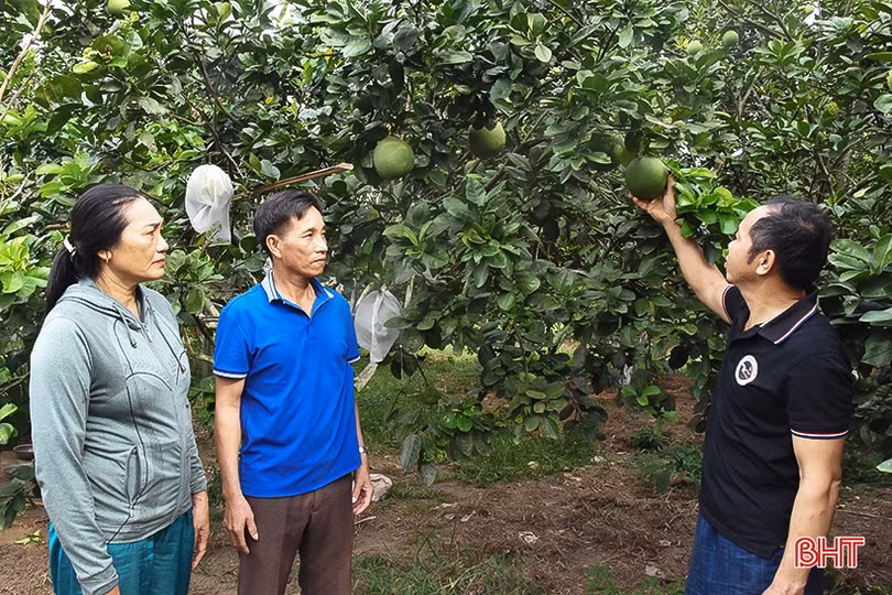 Bà bí thư kiêm thôn trưởng lăn lộn với phong trào ở vùng thượng Kỳ Anh