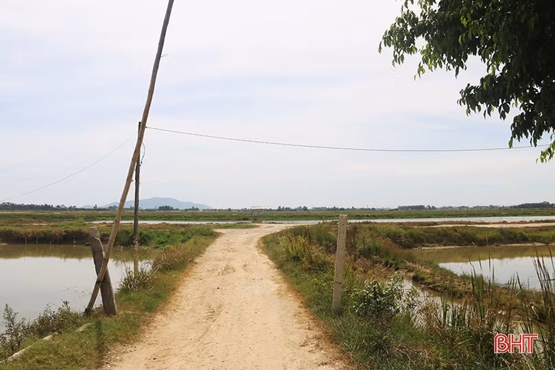 Dứt điểm việc thu hồi đất, tài sản dự án Làng TNXP nuôi trồng thủy sản Thạch Kênh